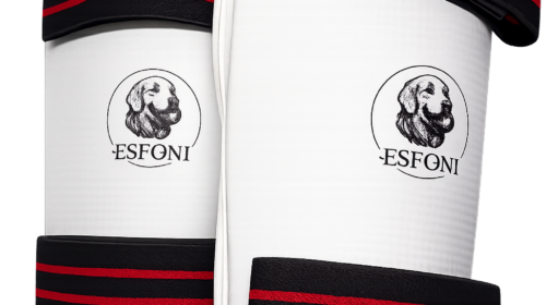 Taekwondo Armschoner Esfoni