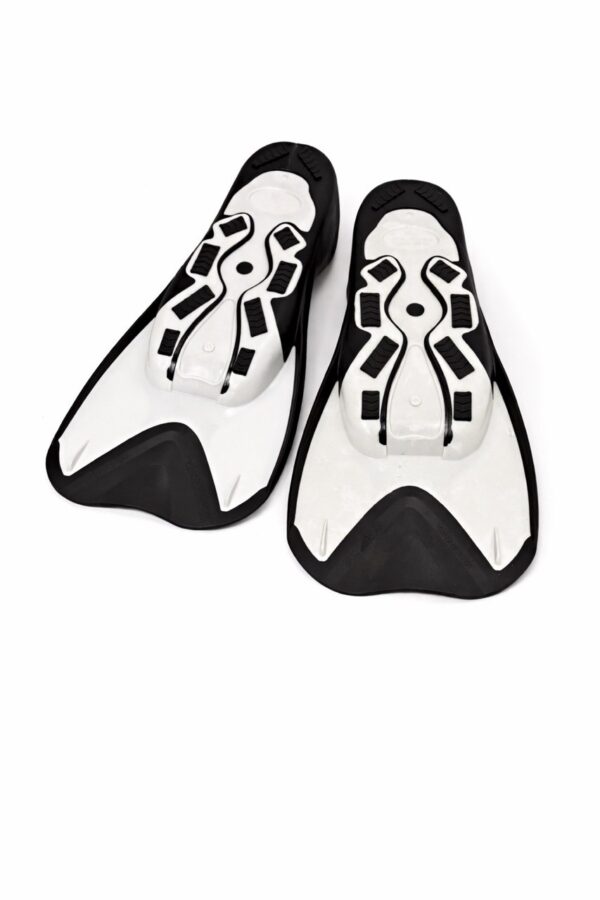 photo_16_2026-03-24_11-09-46 Esfoni Schwimmflossen Erwachsene